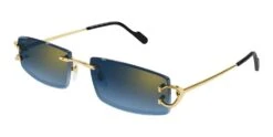 Cartier CT0465S Havana Gold/blue (002 H)